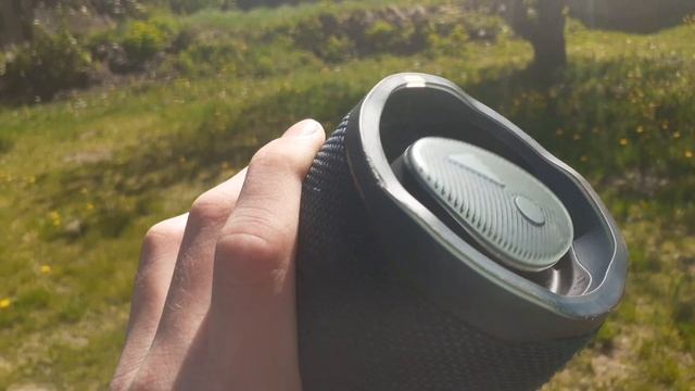 JBL Charge 4 GG | LFM 100vol | roses rebassed