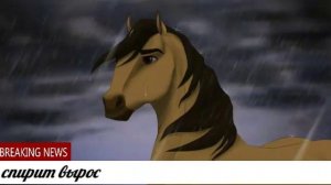 История спирита