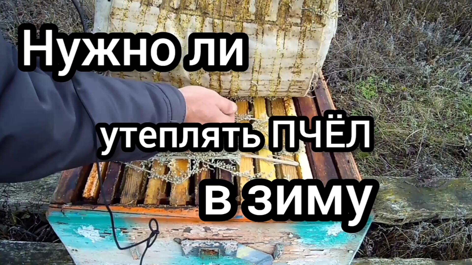 Утепление пчел во время зимовки. смотреть онлайн