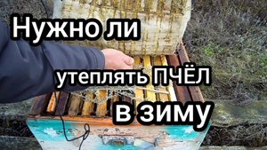 Утепление пчел во время зимовки.