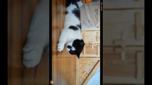 анука давайка снимают Ах и О