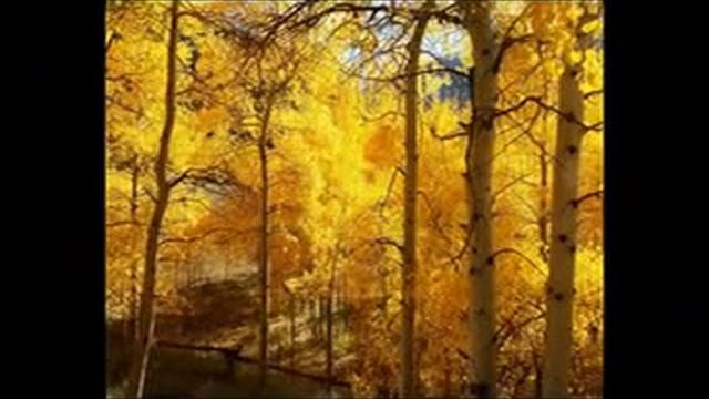 Осенняя грусть смотреть онлайн