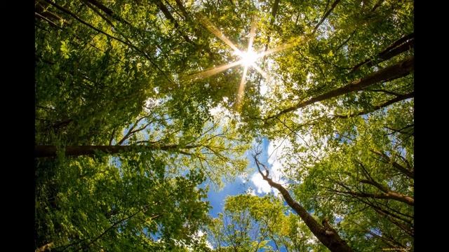 стихоРастворение "Ты моё исключение" смотреть онлайн