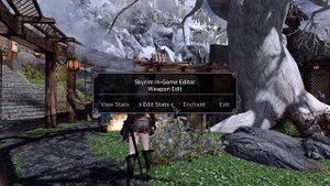 Skyrim Mod: In-Game Editor (SIGE)