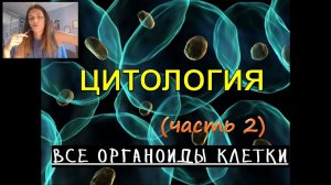 Вся цитология! (часть 2) ОРГАНОИДЫ клетки.