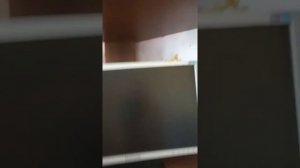 Помогите исправить синий экран при включении компьютера