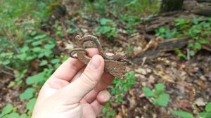 Коп в Крыму 2021 / нашли фундаменты в лесу / колечки времён Крымского ханства