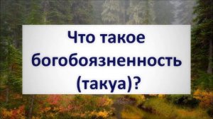 Что такое богобоязненность (такуа)? || Абу Яхья Крымский