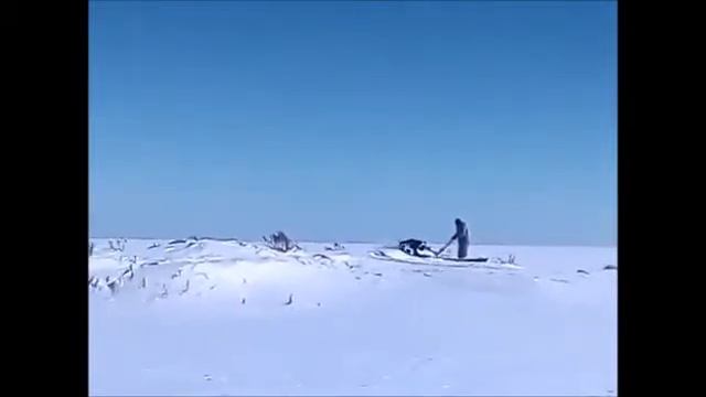 Тест драйв мотобуксировщика DOZOR