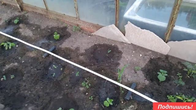 Автоматический полив в теплице. С таймером подачи воды. Схема сборки капельного полива своими рукам смотреть онлайн