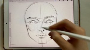 Как рисовать лицо. Пропорции лица.