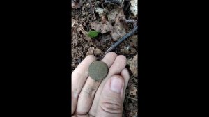 Коп по старине в Калужской Области