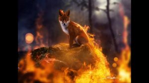 Лесные пожары. Из к/ф Граница