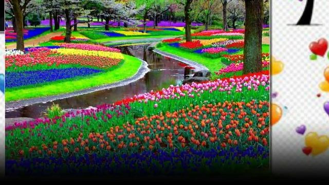 Игорь, с Днем Рождения!!! смотреть онлайн