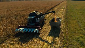 Отзыв о кукурузной жатке Аргус 870