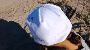 Сплав по Иртышу. Июль 2018.