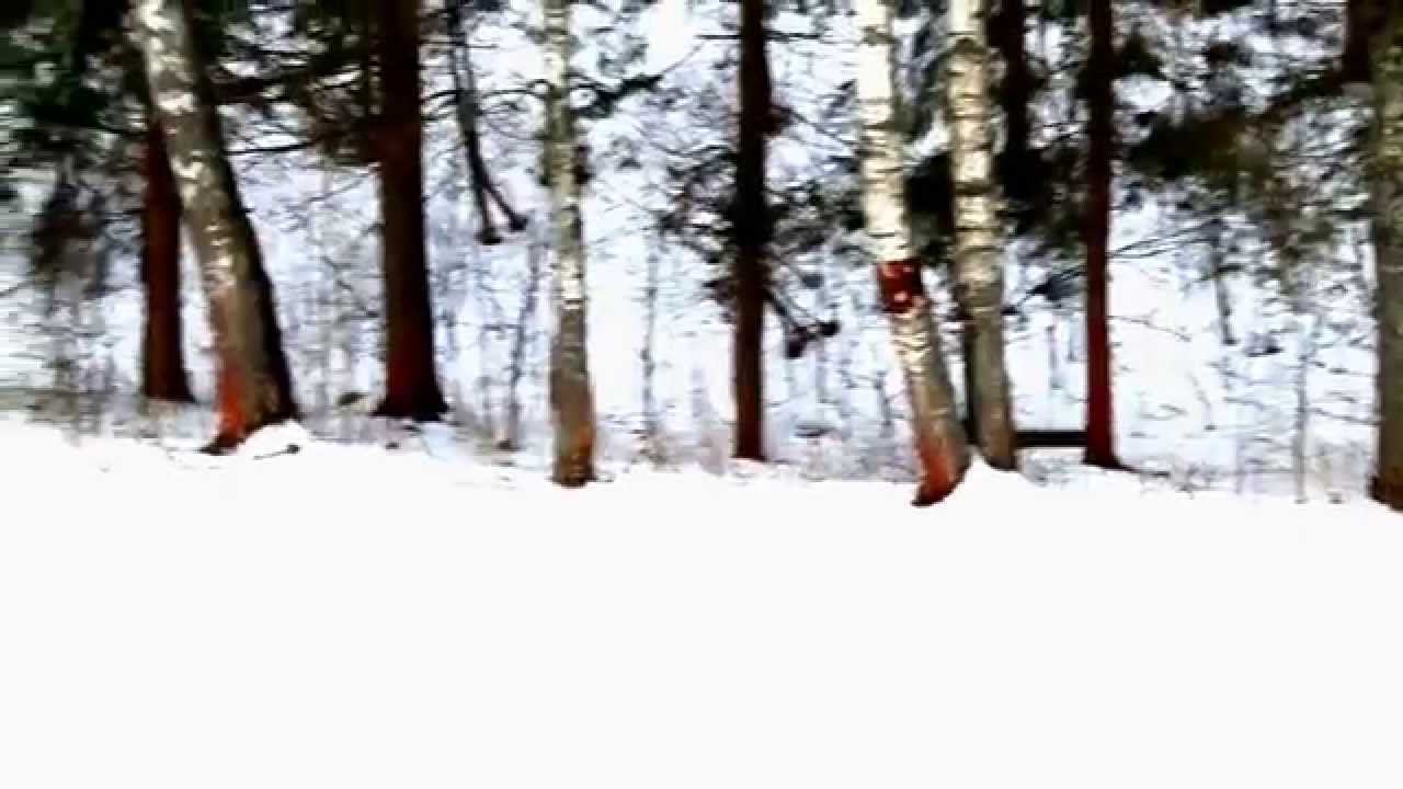 4 этап кубка Новгородской области по лыжным гонкам#1