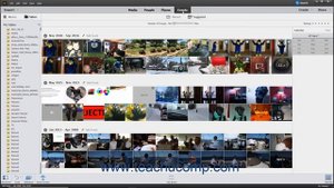 Photoshop Elements 2021 Tutorial The Organizer Environment Adobe Training