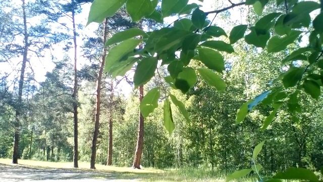 Христианские стихи с глубоким смыслом.