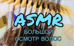 АСМР ДЕТАЛЬНЫЙ ОСМОТР ВОЛОС | ASMR Осмотрю кожу головы, сделаю тебе массаж головы, осмотрю состояние