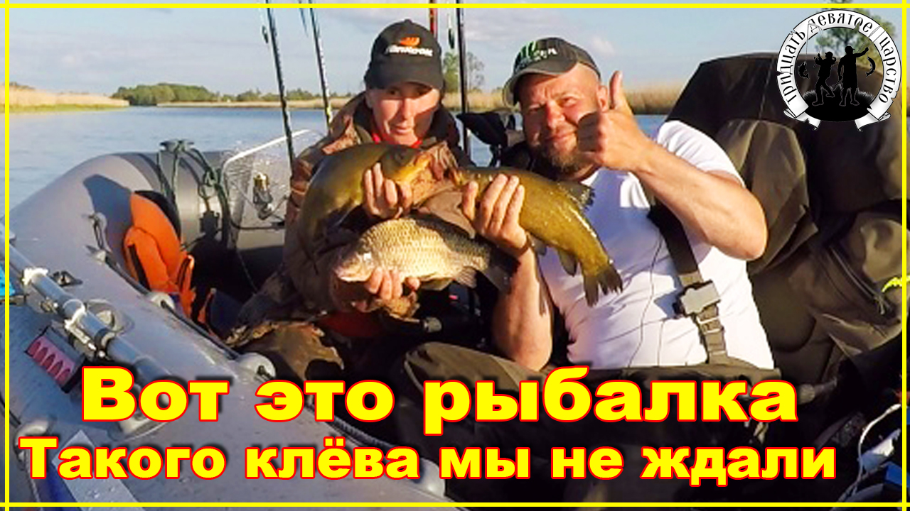 Такой рыбалки мы не ожидали. Прикормили и понеслось. Линь, Карась, Краснопёрка, Плотва..