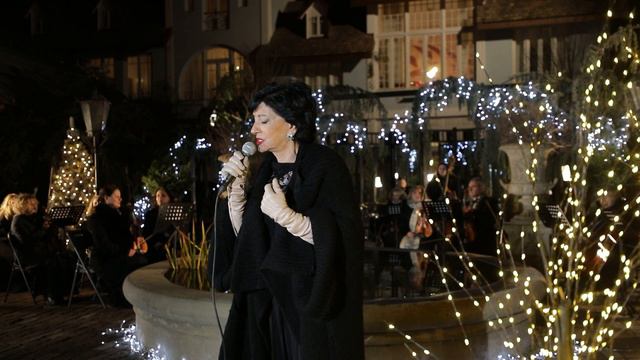 Nani Bregvadze - თბილისის ღამეTbilisis Ghame Gardenia Shevardnadze 2023 New Year