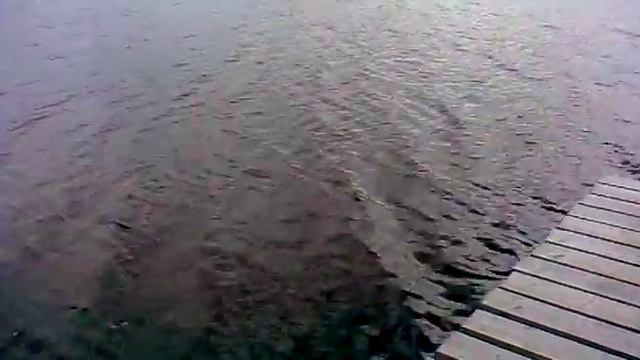 Озеро Паперня "Ружанский" 29.09.2011 Леонид смотреть онлайн