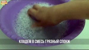 Как правильно мыть спонж