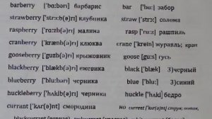 55.Английский. Лексика: ягоды, орехи. Ключевые слова