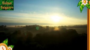 Макка Межиева. Ва к1орни 1уре дика хилда.  💖❤😍