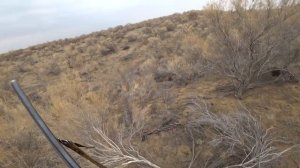 Охота на зайца, открытие сезона 2020г