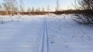 Лыжный сезон 2021.Коломенский р-н, Московская обл.