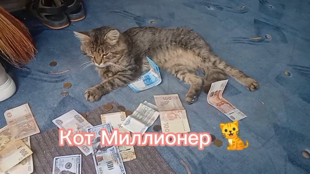 Миллионер