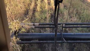Полесье GS12 на уборке сои
