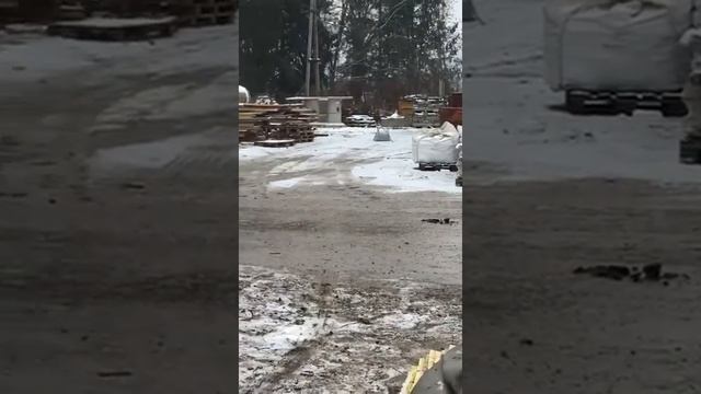 Латыши)