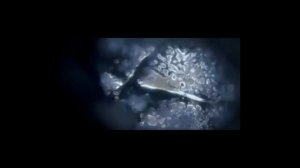 Влияние музыки на структуру воды.