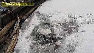 Домашний пруд, незамерзающая лунка и погодные аномалии в Харьковской области. Украина 11 марта 2021