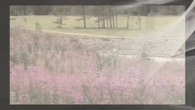 Два берега. смотреть онлайн