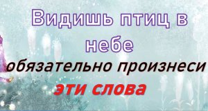 Видишь птиц в небе обязательно произнеси эти слова