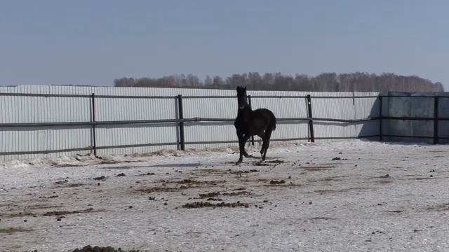 Есений смотреть онлайн