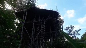 Посмотри как в реальности живут современные дикие племена