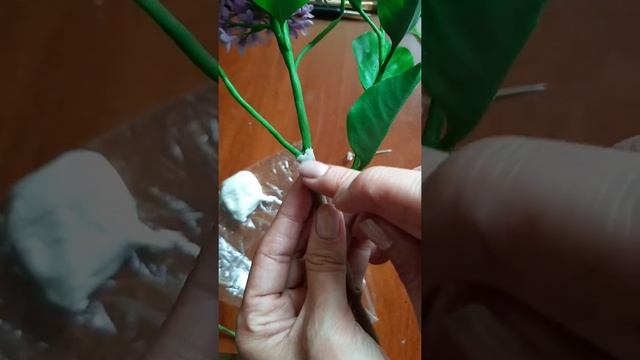 мк ветка сирени ч5