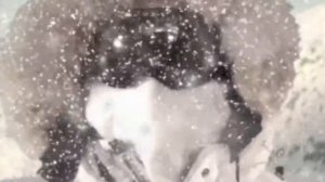 Шамбала портавентура 2019