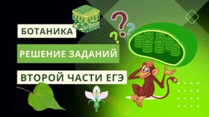 БОТАНИКА | Решение заданий второй части ЕГЭ | Запись вебинара