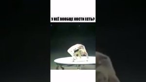 Девочка без костей