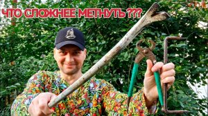 Что сложнее метнуть ?