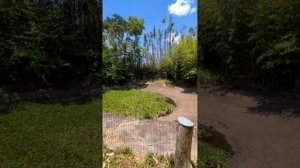 Xiaomi mi 11 ultra test camera wide