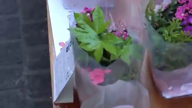 X-S1 смотреть онлайн