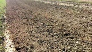 Культивация земли перед посевом овса