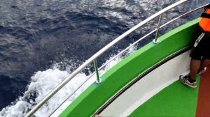 Sri lanka | Amazing Sri Lanka| Hikkaduwa | Colombo